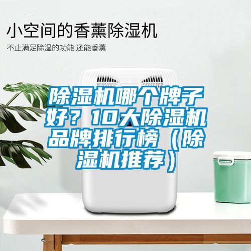 除濕機(jī)哪個(gè)牌子好？10大除濕機(jī)品牌排行榜（除濕機(jī)推薦）