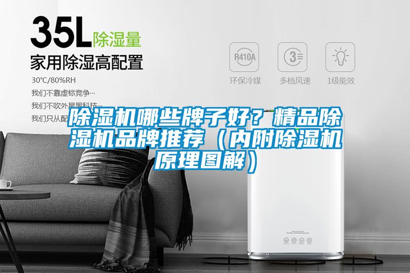 除濕機哪些牌子好？精品除濕機品牌推薦（內(nèi)附除濕機原理圖解）