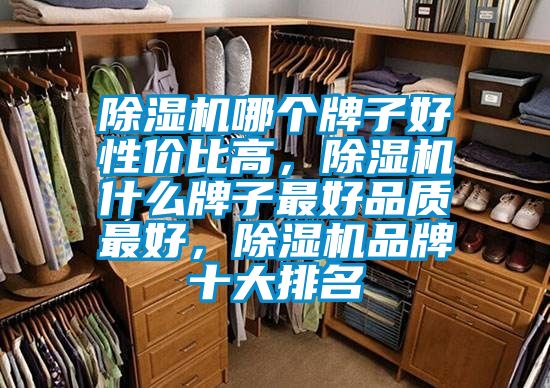 除濕機哪個牌子好性價比高，除濕機什么牌子最好品質(zhì)最好，除濕機品牌十大排名