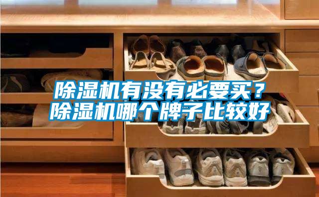 除濕機(jī)有沒有必要買？除濕機(jī)哪個牌子比較好