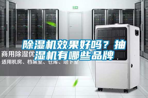 除濕機(jī)效果好嗎？抽濕機(jī)有哪些品牌
