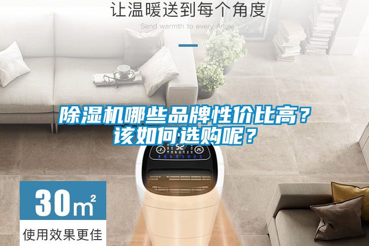除濕機(jī)哪些品牌性價(jià)比高？該如何選購(gòu)呢？