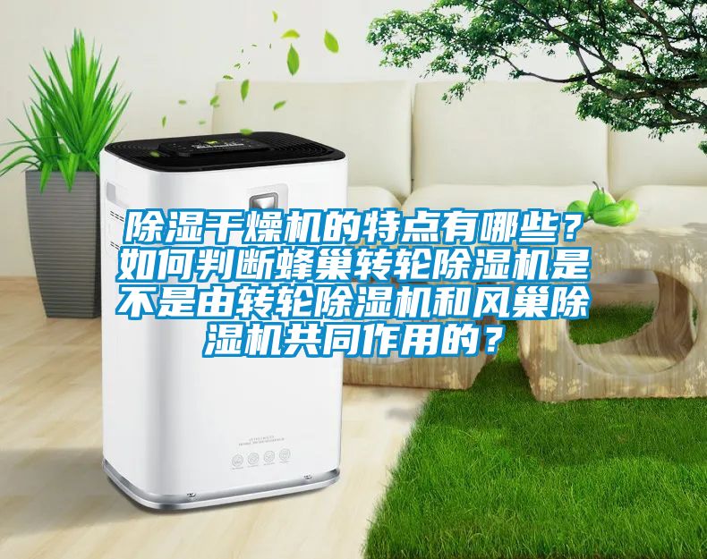 除濕干燥機(jī)的特點(diǎn)有哪些？如何判斷蜂巢轉(zhuǎn)輪除濕機(jī)是不是由轉(zhuǎn)輪除濕機(jī)和風(fēng)巢除濕機(jī)共同作用的？
