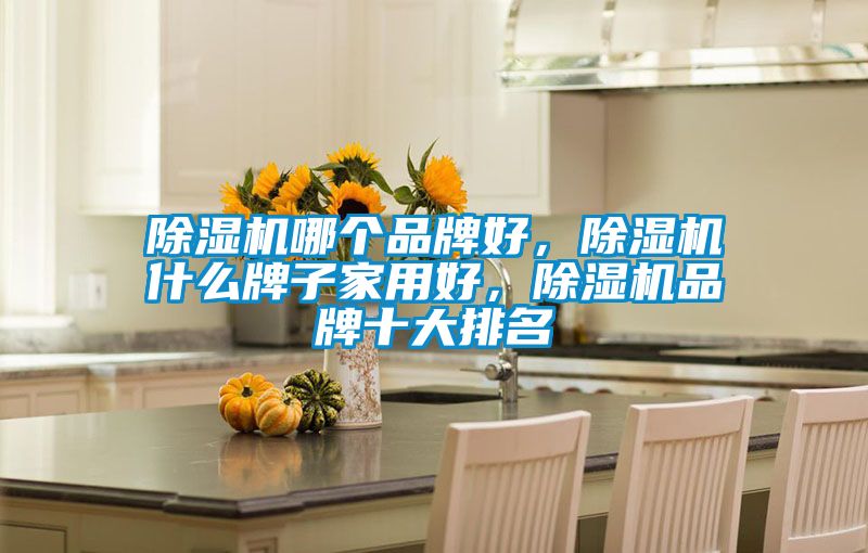除濕機(jī)哪個(gè)品牌好，除濕機(jī)什么牌子家用好，除濕機(jī)品牌十大排名