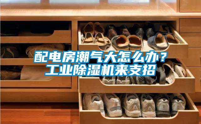 配電房潮氣大怎么辦？工業(yè)除濕機(jī)來(lái)支招