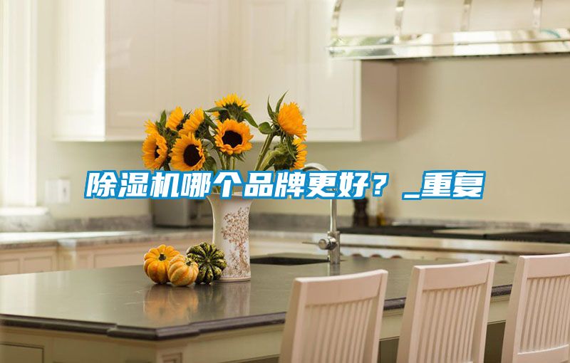 除濕機(jī)哪個(gè)品牌更好？_重復(fù)