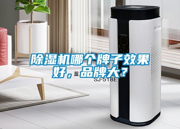 除濕機(jī)哪個(gè)牌子效果好，品牌大？
