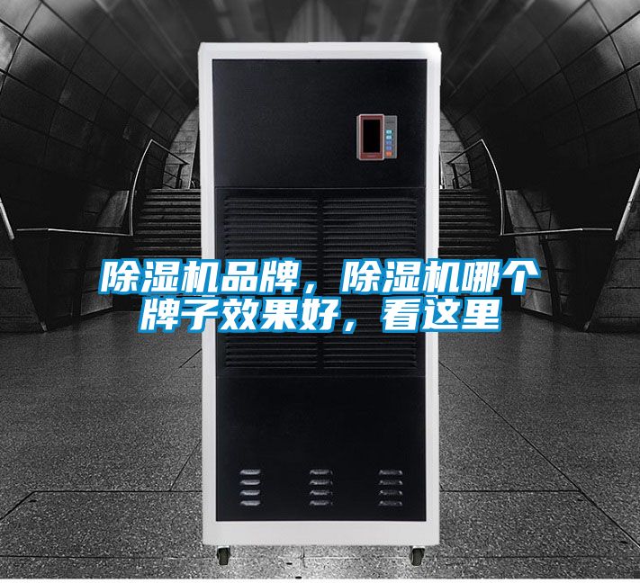 除濕機品牌，除濕機哪個牌子效果好，看這里