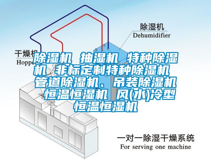 除濕機(jī) 抽濕機(jī) 特種除濕機(jī) 非標(biāo)定制特種除濕機(jī) 管道除濕機(jī)、吊裝除濕機(jī) 恒溫恒濕機(jī) 風(fēng)(水)冷型恒溫恒濕機(jī)