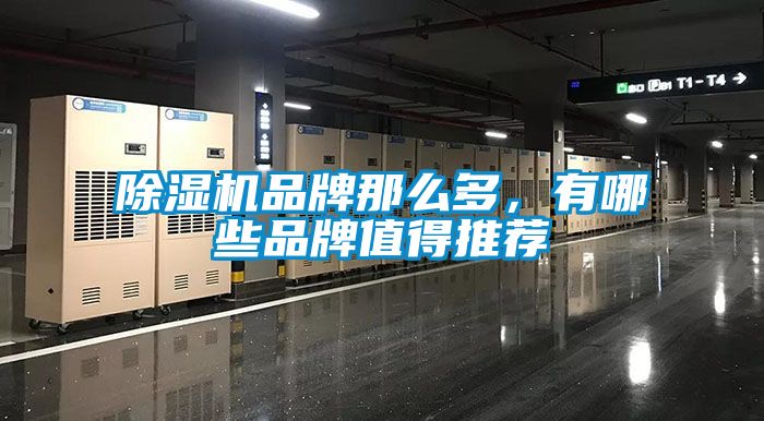 除濕機品牌那么多，有哪些品牌值得推薦