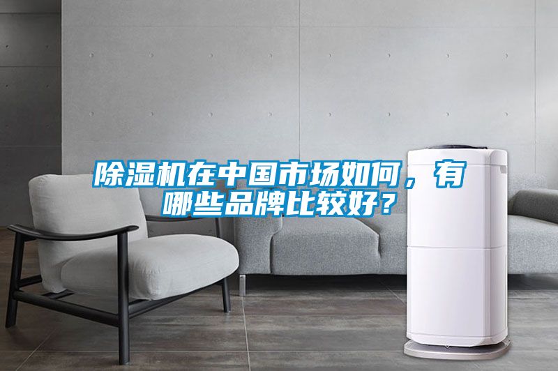 除濕機(jī)在中國市場(chǎng)如何，有哪些品牌比較好？