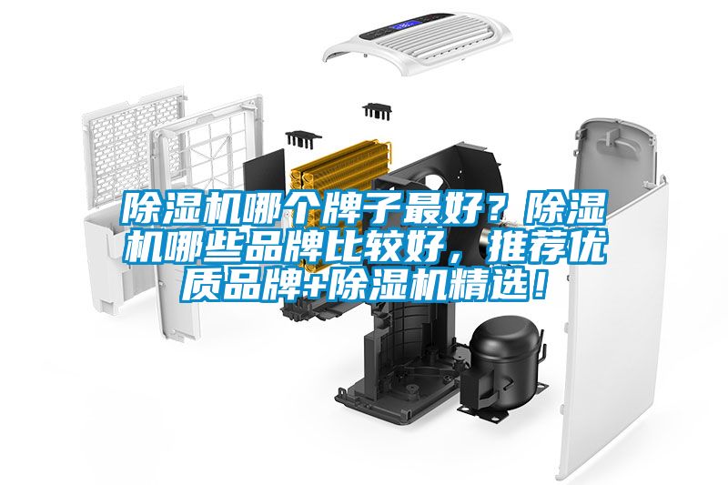 除濕機(jī)哪個(gè)牌子最好？除濕機(jī)哪些品牌比較好，推薦優(yōu)質(zhì)品牌+除濕機(jī)精選！