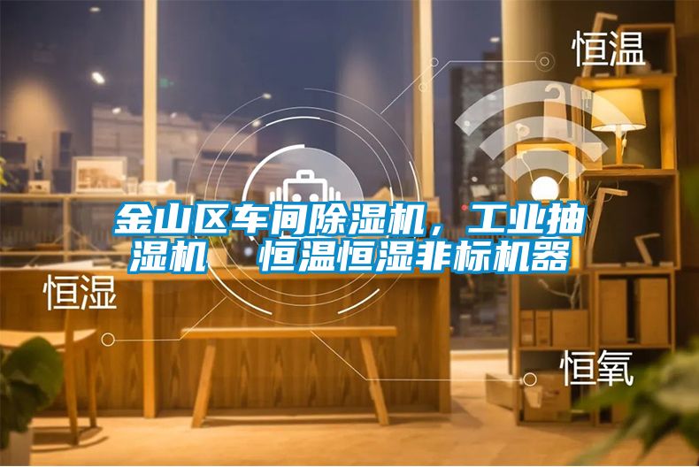金山區(qū)車間除濕機(jī)，工業(yè)抽濕機(jī)  恒溫恒濕非標(biāo)機(jī)器