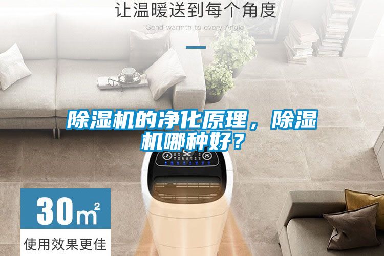 除濕機(jī)的凈化原理，除濕機(jī)哪種好？