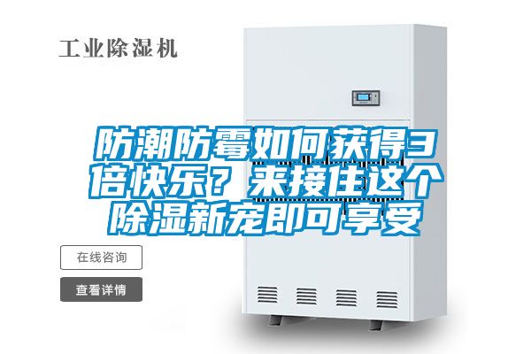 防潮防霉如何獲得3倍快樂？來接住這個除濕新寵即可享受