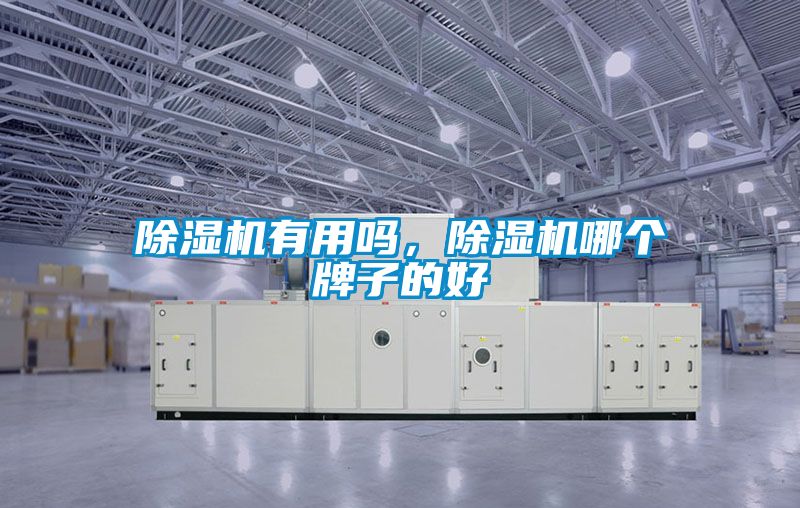 除濕機有用嗎，除濕機哪個牌子的好