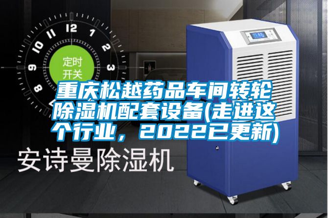重慶松越藥品車間轉輪除濕機配套設備(走進這個行業(yè)，2022已更新)