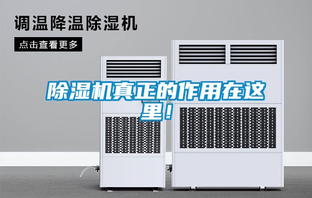 除濕機真正的作用在這里！