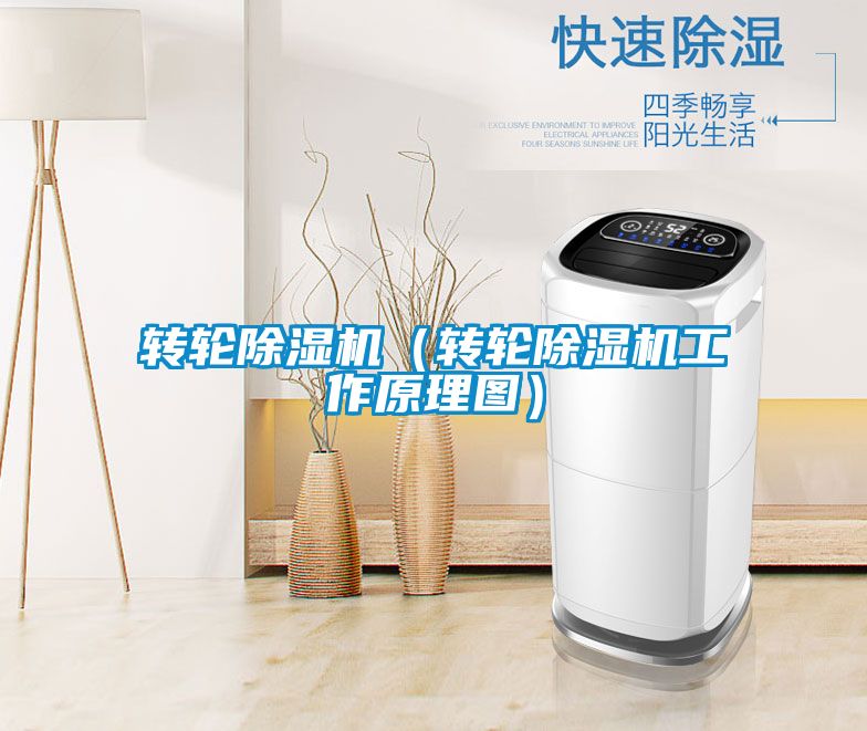 轉(zhuǎn)輪除濕機(jī)(轉(zhuǎn)輪除濕機(jī)工作原理圖)