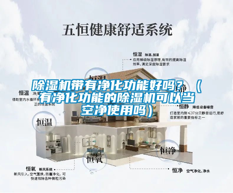 除濕機帶有凈化功能好嗎？（有凈化功能的除濕機可以當空凈使用嗎）