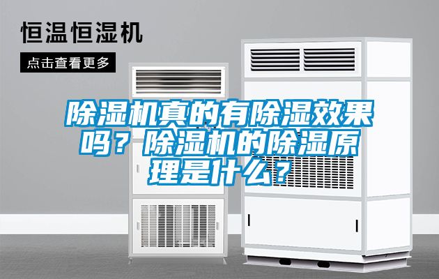 除濕機真的有除濕效果嗎？除濕機的除濕原理是什么？