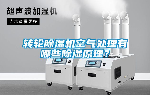 轉(zhuǎn)輪除濕機(jī)空氣處理有哪些除濕原理？