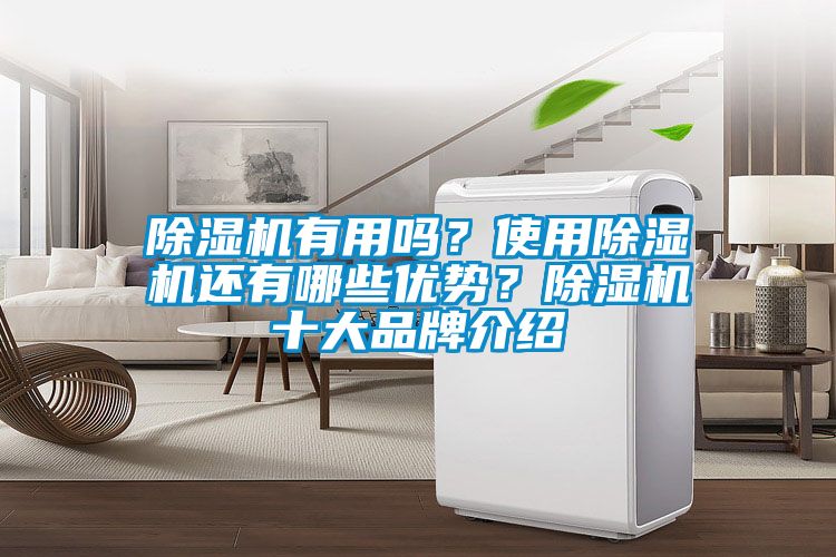 除濕機(jī)有用嗎？使用除濕機(jī)還有哪些優(yōu)勢(shì)？除濕機(jī)十大品牌介紹