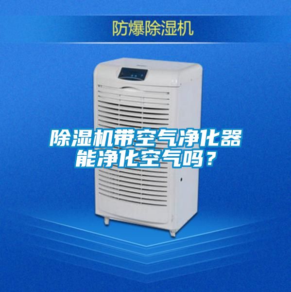 除濕機帶空氣凈化器能凈化空氣嗎？