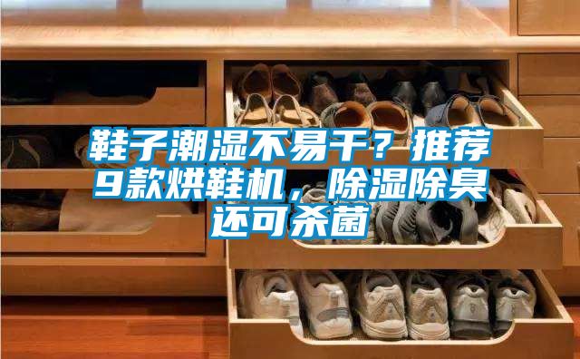 鞋子潮濕不易干？推薦9款烘鞋機，除濕除臭還可殺菌