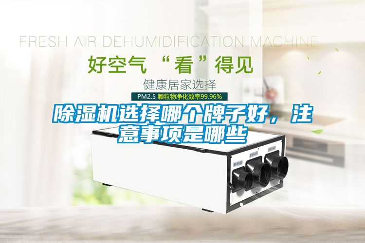 除濕機(jī)選擇哪個(gè)牌子好，注意事項(xiàng)是哪些