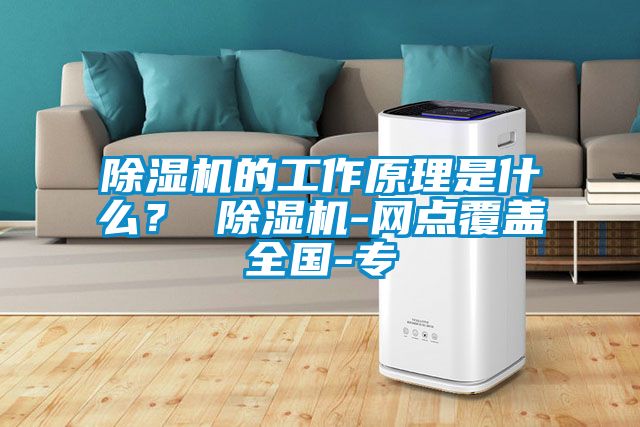除濕機(jī)的工作原理是什么？ 除濕機(jī)-網(wǎng)點(diǎn)覆蓋全國-專