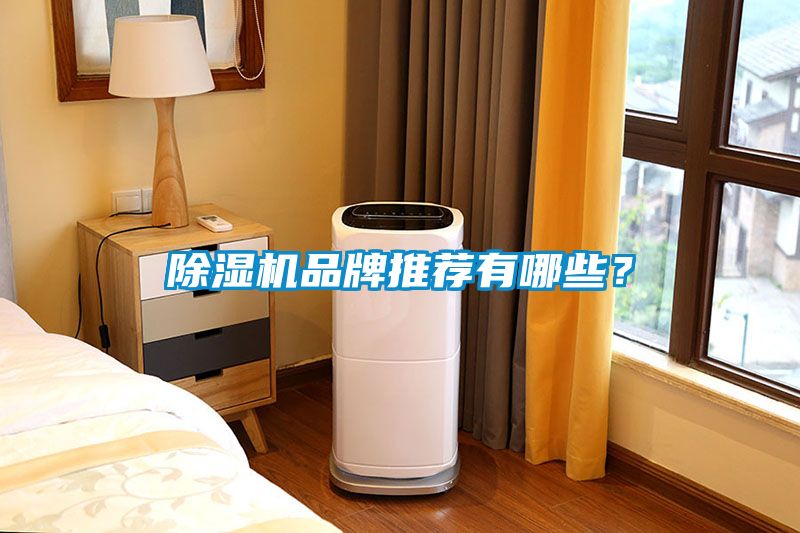 除濕機(jī)品牌推薦有哪些？