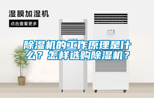 除濕機(jī)的工作原理是什么？怎樣選購(gòu)除濕機(jī)？