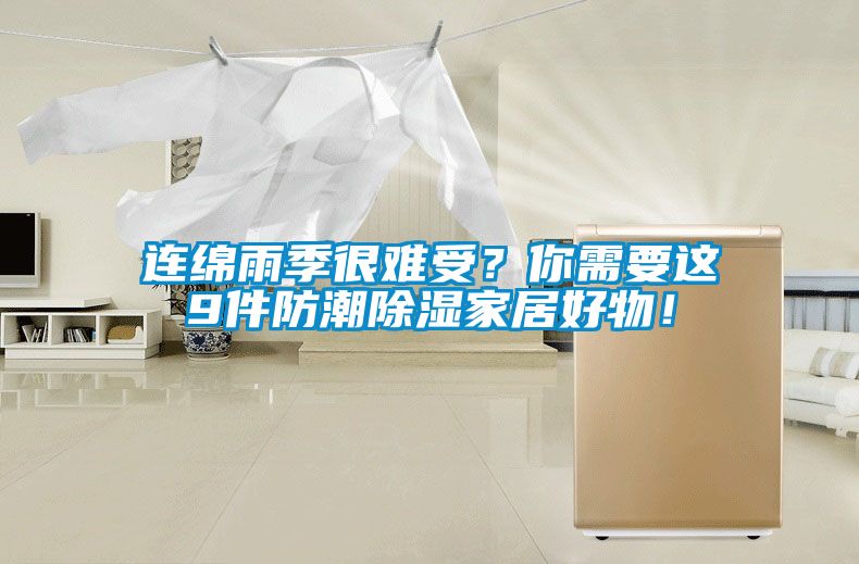 連綿雨季很難受？你需要這9件防潮除濕家居好物！