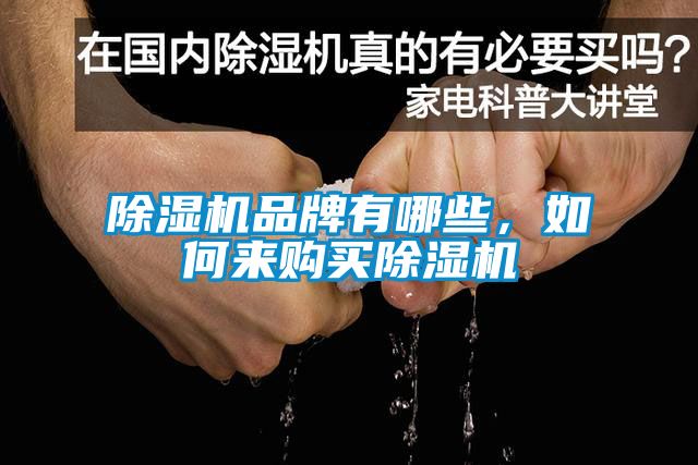 除濕機品牌有哪些，如何來購買除濕機