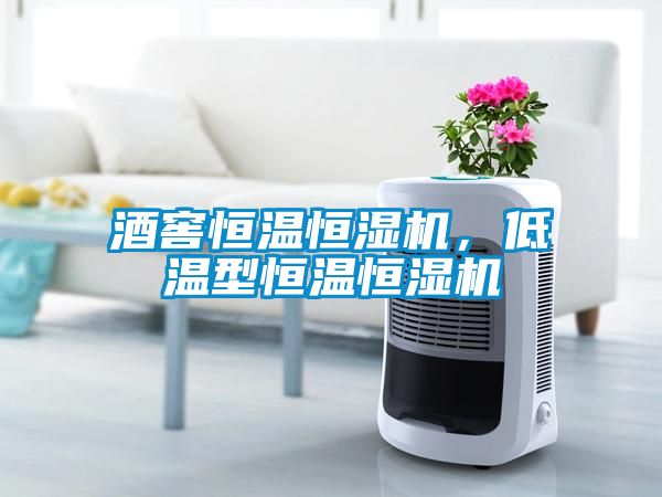 酒窖恒溫恒濕機(jī)，低溫型恒溫恒濕機(jī)
