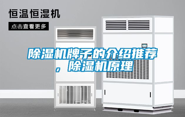 除濕機(jī)牌子的介紹推薦，除濕機(jī)原理