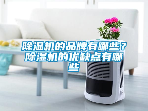 除濕機的品牌有哪些？除濕機的優(yōu)缺點有哪些