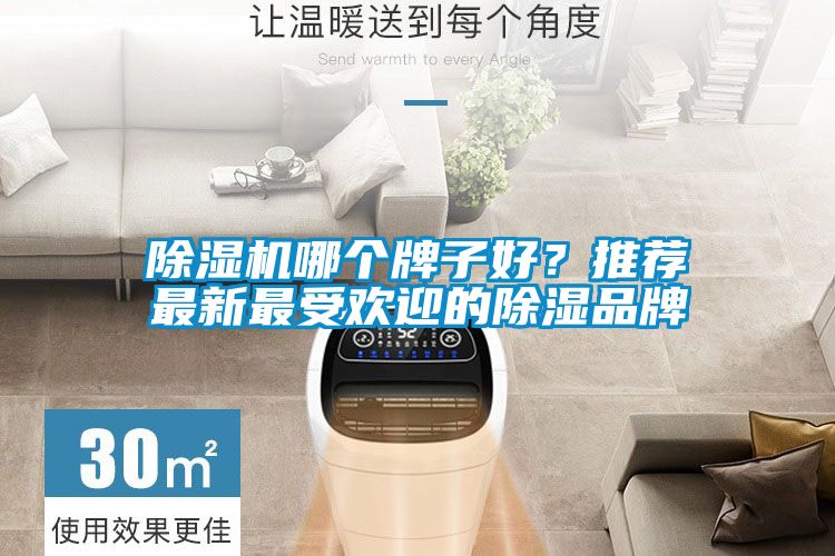 除濕機(jī)哪個(gè)牌子好？推薦最新最受歡迎的除濕品牌