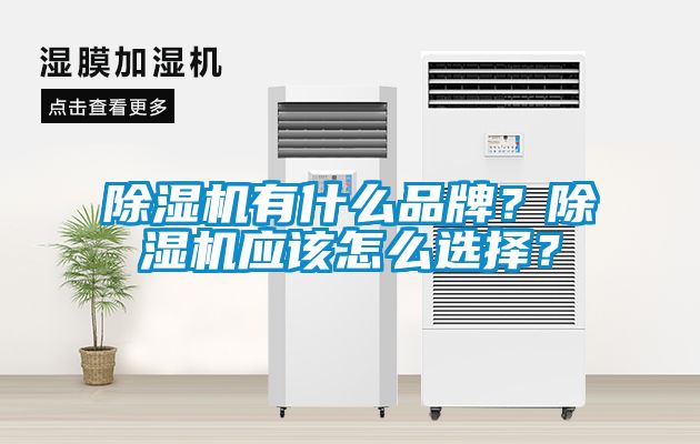 除濕機有什么品牌？除濕機應該怎么選擇？