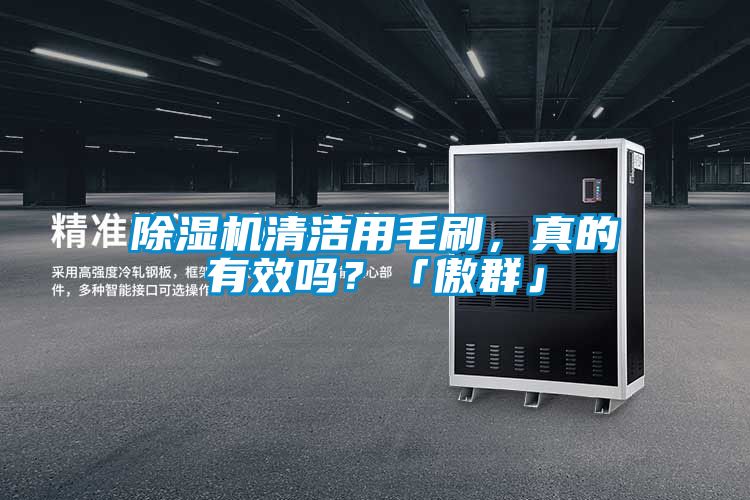 除濕機(jī)清潔用毛刷，真的有效嗎？「傲群」