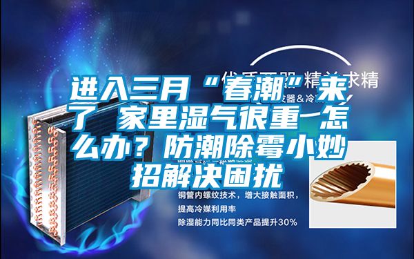 進(jìn)入三月“春潮”來了 家里濕氣很重 怎么辦？防潮除霉小妙招解決困擾