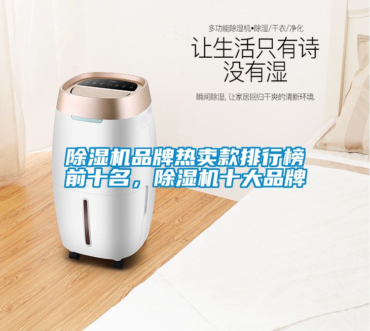 除濕機品牌熱賣款排行榜前十名，除濕機十大品牌