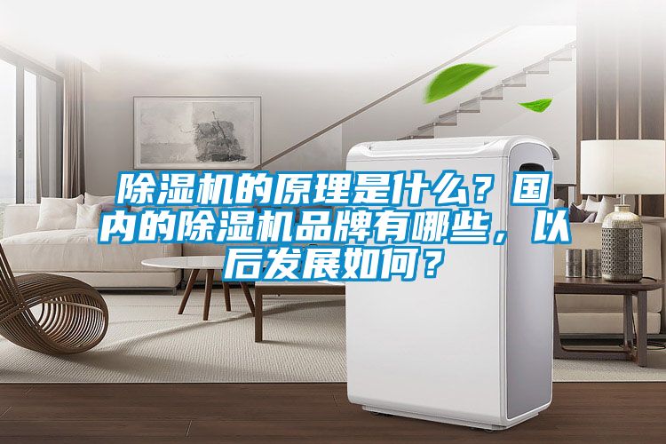 除濕機的原理是什么？國內(nèi)的除濕機品牌有哪些，以后發(fā)展如何？