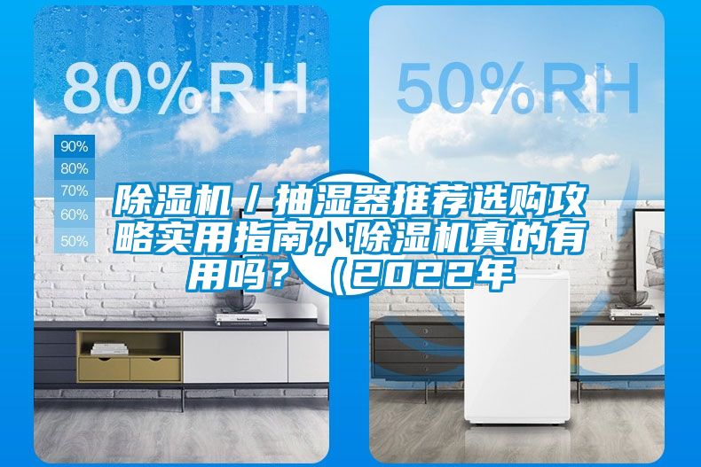除濕機(jī)／抽濕器推薦選購攻略實(shí)用指南，除濕機(jī)真的有用嗎？（2022年
