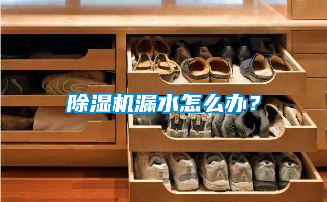 除濕機(jī)漏水怎么辦？