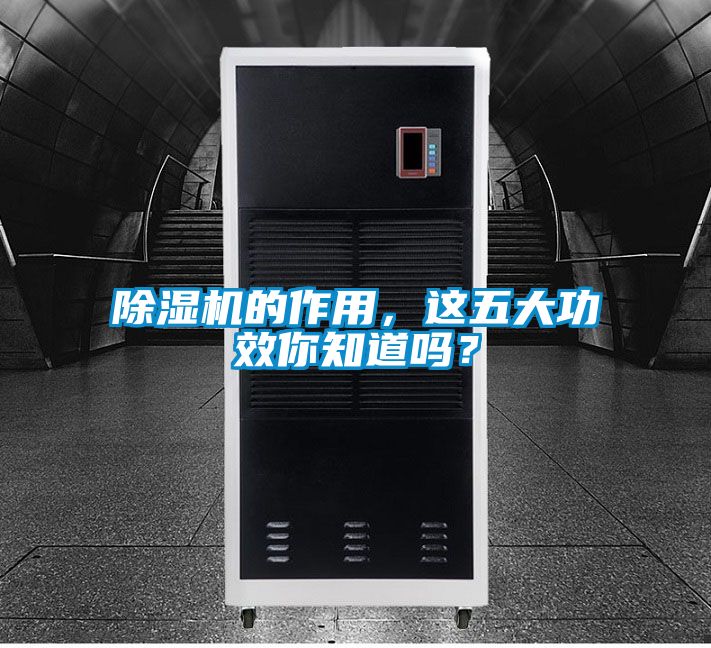 除濕機(jī)的作用，這五大功效你知道嗎？