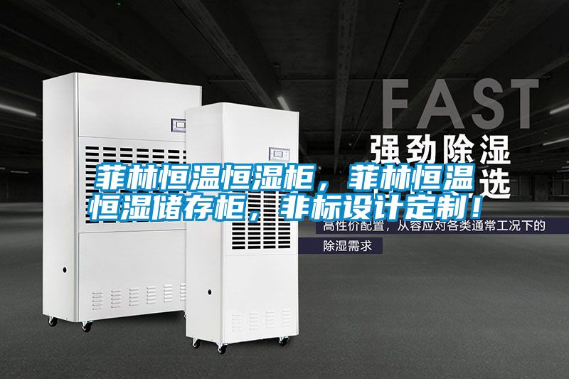 菲林恒溫恒濕柜，菲林恒溫恒濕儲存柜，非標設(shè)計定制！