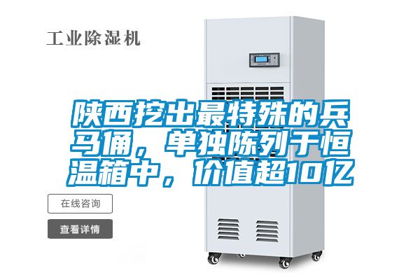 陜西挖出最特殊的兵馬俑，單獨(dú)陳列于恒溫箱中，價(jià)值超10億