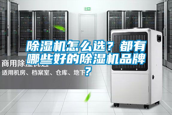 除濕機(jī)怎么選？都有哪些好的除濕機(jī)品牌？